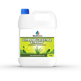 Front view of MipaEssence Citronella Extra Strong Fragrance bottle – 1 kg professional packaging with natural green theme.