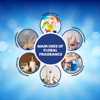 Main applications of Desire Fragrance – suitable for perfumes, body care, home care, incense, and cleaning products.