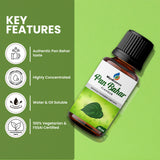 Key features of Pan Bahar Flavour highlighting its authentic taste, high concentration, dual solubility, and vegetarian certification.