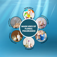 Common uses of Super 509 Fragrance in perfumes, home care, body care, air fresheners, and bath products.